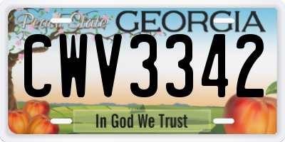 GA license plate CWV3342