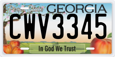 GA license plate CWV3345