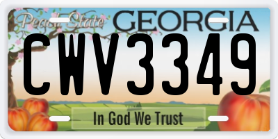 GA license plate CWV3349