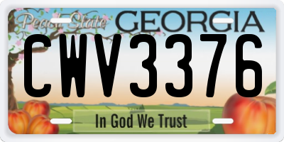 GA license plate CWV3376