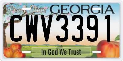 GA license plate CWV3391
