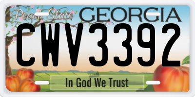 GA license plate CWV3392