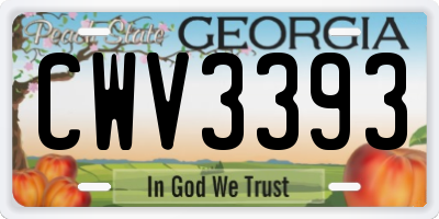 GA license plate CWV3393