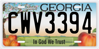 GA license plate CWV3394