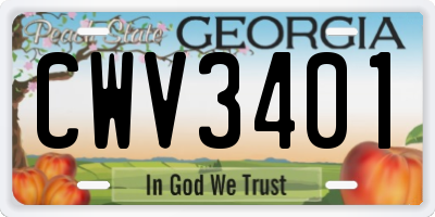 GA license plate CWV3401
