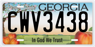 GA license plate CWV3438