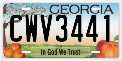 GA license plate CWV3441
