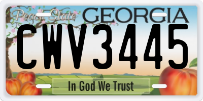 GA license plate CWV3445