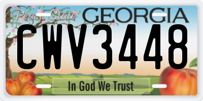 GA license plate CWV3448