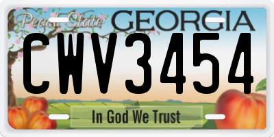 GA license plate CWV3454