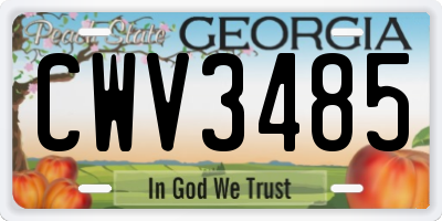 GA license plate CWV3485