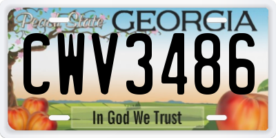 GA license plate CWV3486