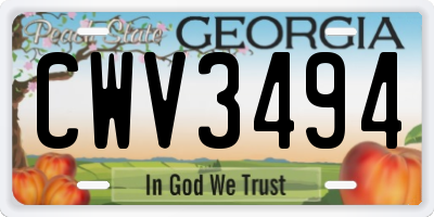 GA license plate CWV3494