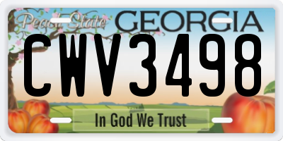 GA license plate CWV3498