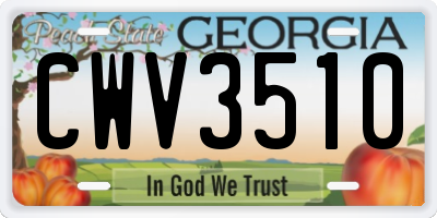 GA license plate CWV3510