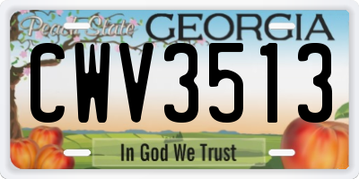 GA license plate CWV3513
