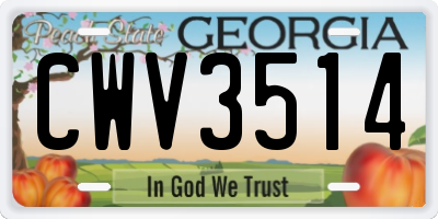 GA license plate CWV3514