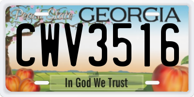 GA license plate CWV3516