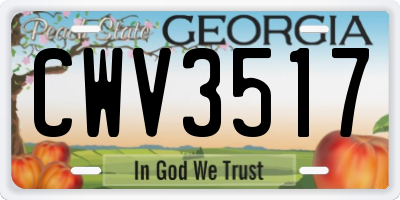 GA license plate CWV3517