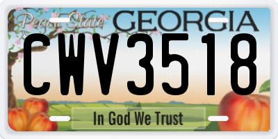 GA license plate CWV3518
