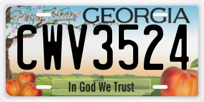 GA license plate CWV3524