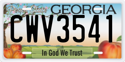 GA license plate CWV3541