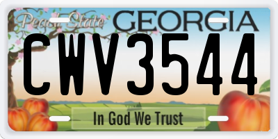 GA license plate CWV3544