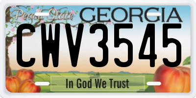 GA license plate CWV3545
