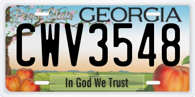 GA license plate CWV3548