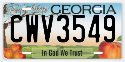 GA license plate CWV3549