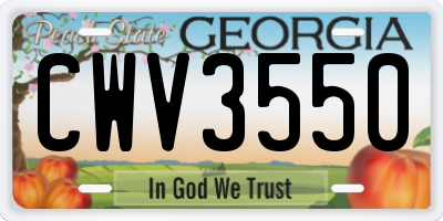 GA license plate CWV3550