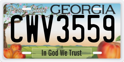 GA license plate CWV3559