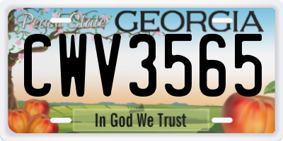 GA license plate CWV3565