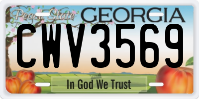 GA license plate CWV3569