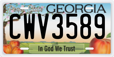 GA license plate CWV3589