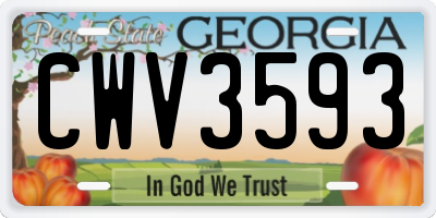 GA license plate CWV3593