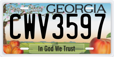 GA license plate CWV3597