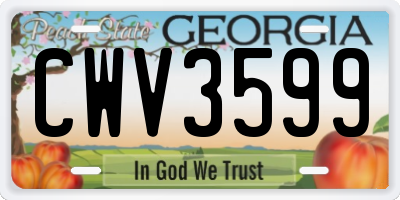 GA license plate CWV3599