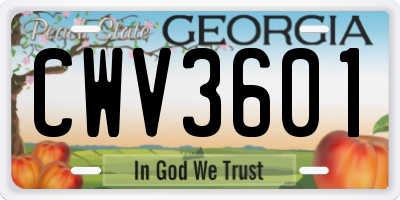 GA license plate CWV3601