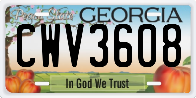 GA license plate CWV3608