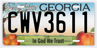 GA license plate CWV3611