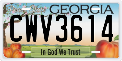 GA license plate CWV3614