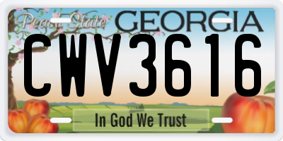 GA license plate CWV3616