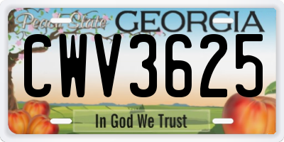 GA license plate CWV3625