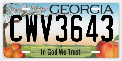 GA license plate CWV3643