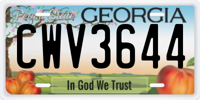 GA license plate CWV3644