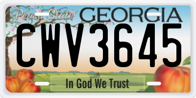 GA license plate CWV3645