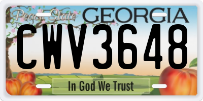 GA license plate CWV3648