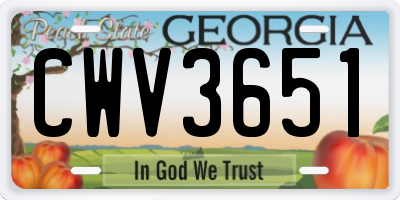 GA license plate CWV3651