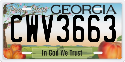 GA license plate CWV3663